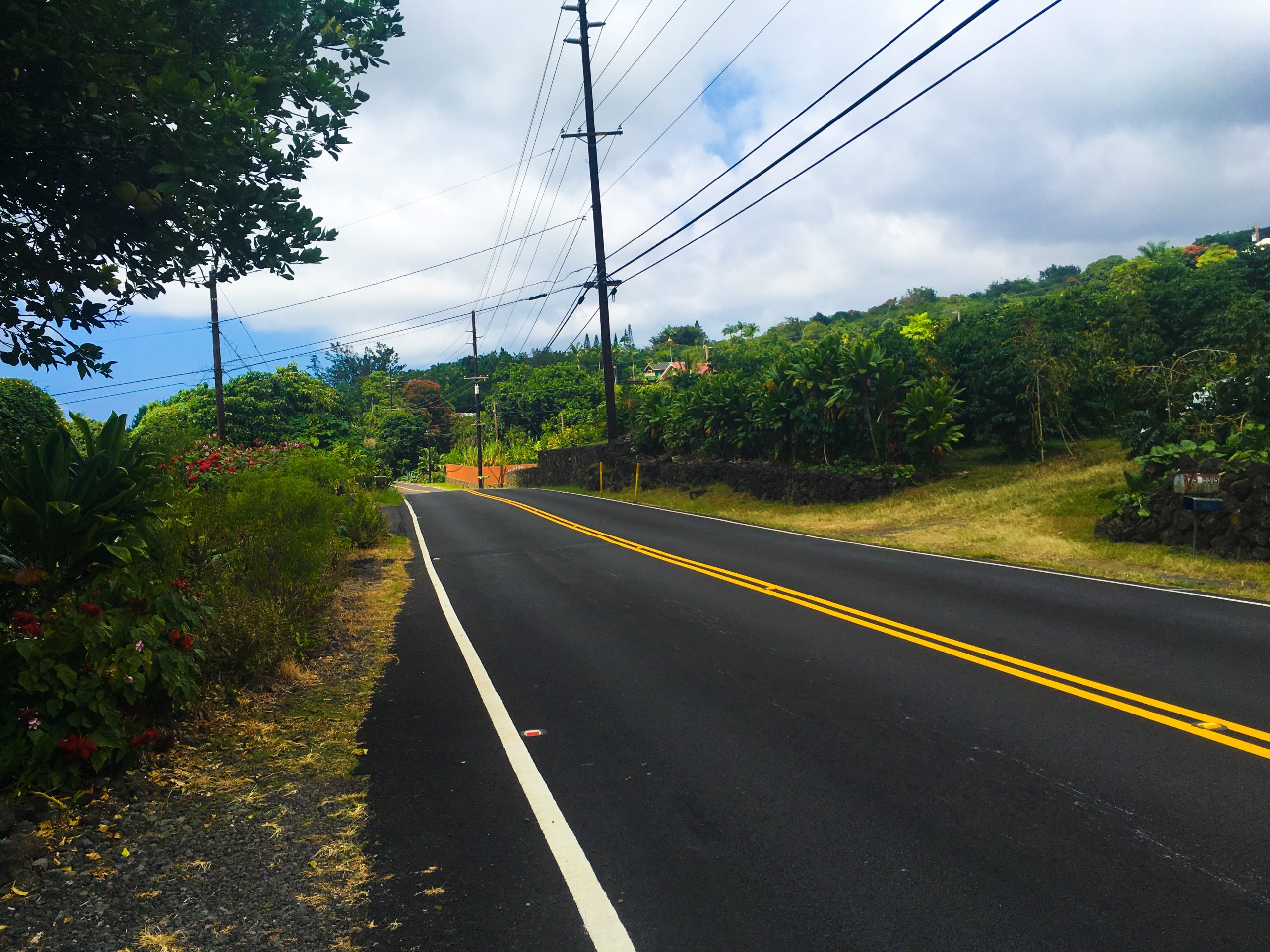 Beautiful road 