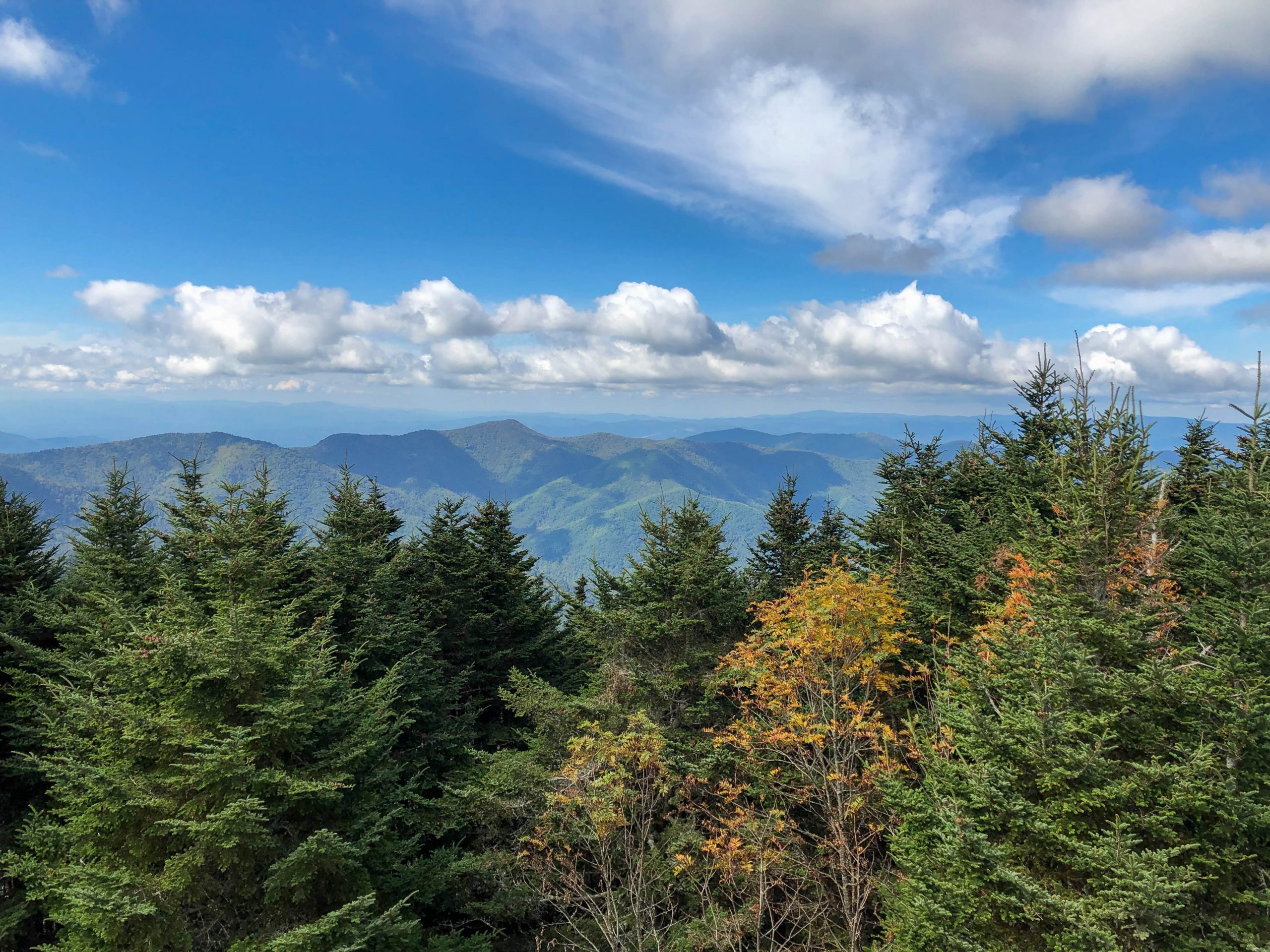 Best mountains to visit in NC