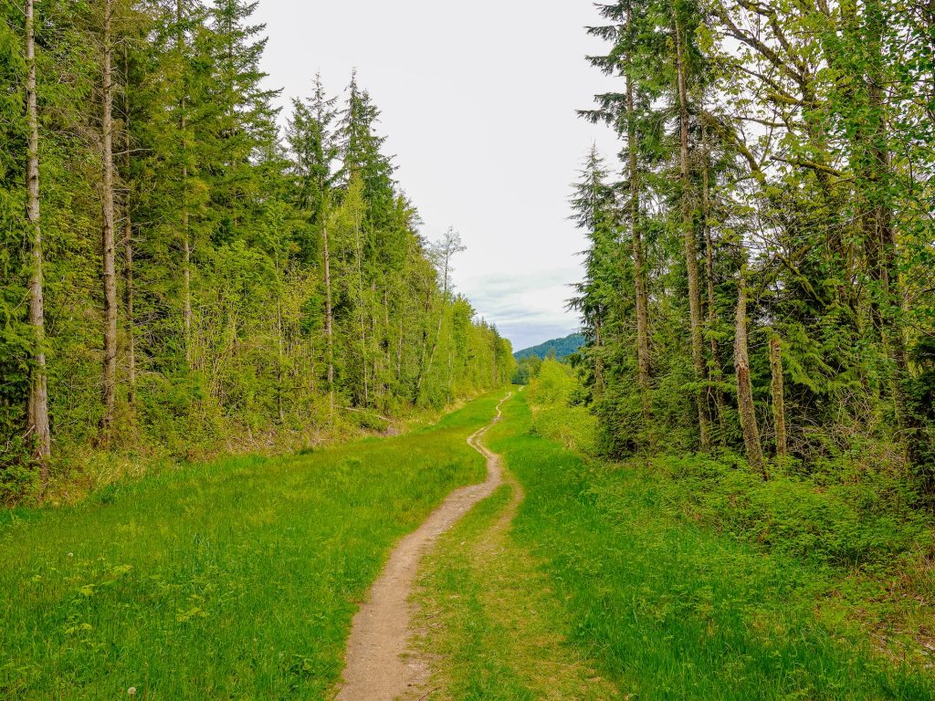 Hiking near Mexico City