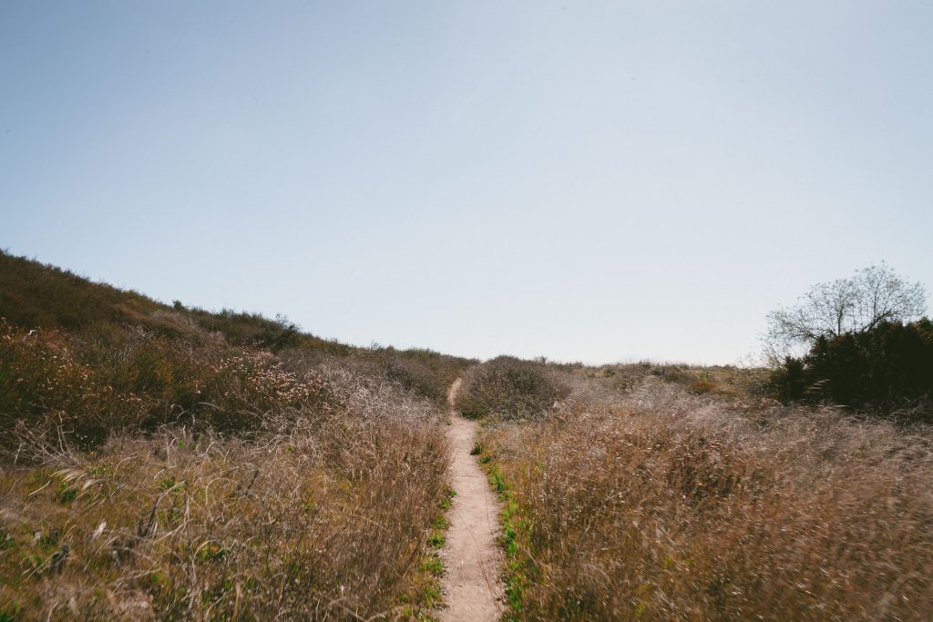 Go hiking today