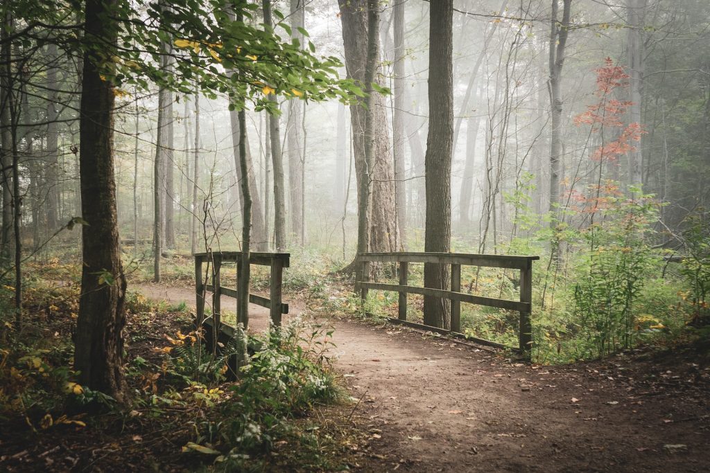 Walking trails Tulsa