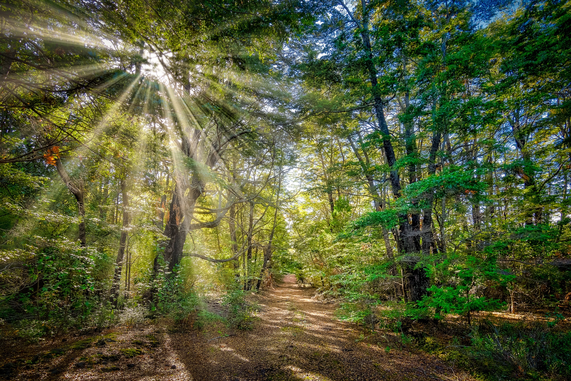 top-5-hiking-trails-near-mexico-city-mexico