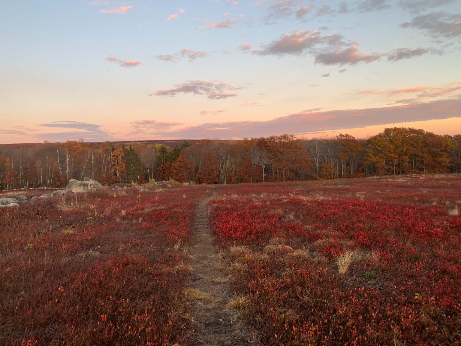 Top 5 hiking trails in Sarasota, Florida