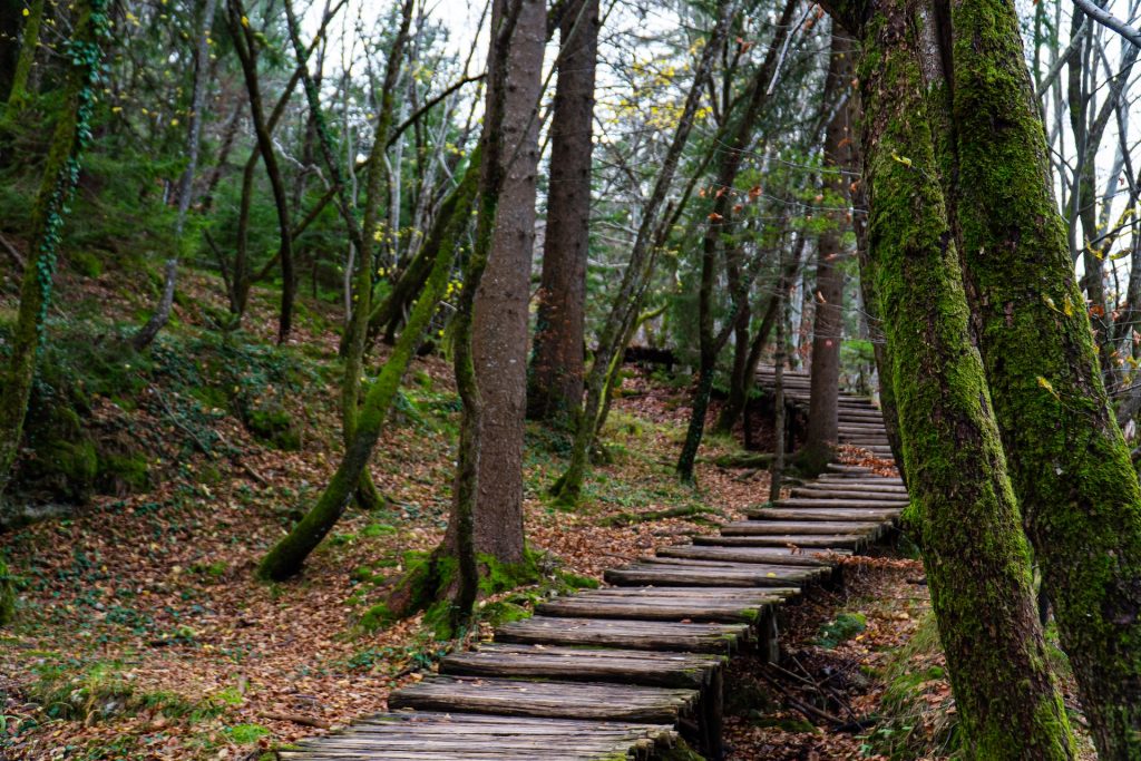 Bologna hiking